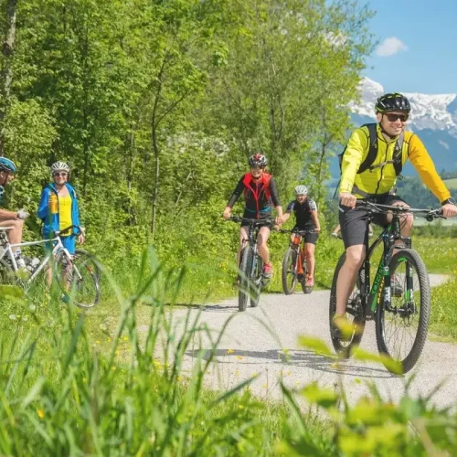 Hotel Alpenschlössl in St. Johann, Pongau