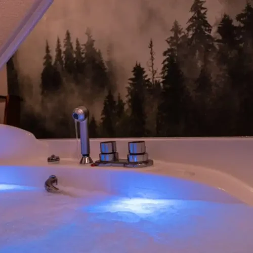 Hotel Palmenwald, Freudenstadt, Schwarzwald