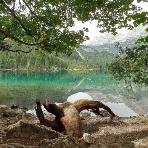 Sporthotel Rosatti 3★★★ Superior in Dimaro Trentino