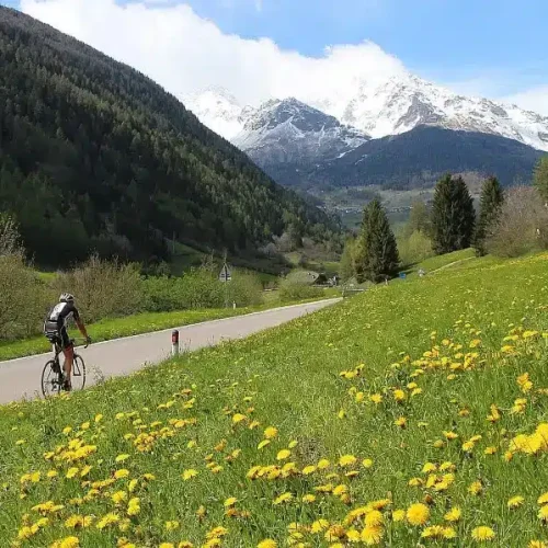 Sporthotel Rosatti 3★★★ Superior in Dimaro Trentino